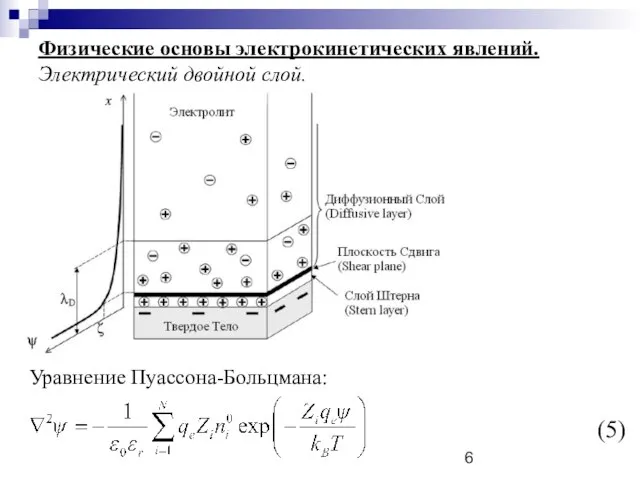 Физические основы электрокинетических явлений. Электрический двойной слой. Уравнение Пуассона-Больцмана: (5)