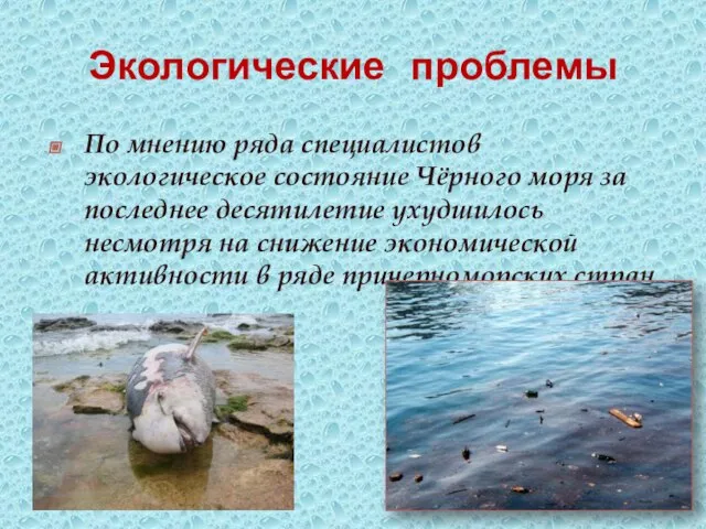 Экологические проблемы По мнению ряда специалистов экологическое состояние Чёрного моря за последнее