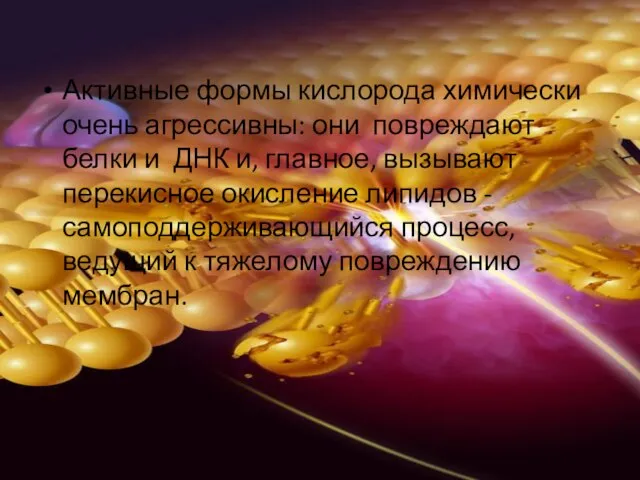 Активные формы кислорода химически очень агрессивны: они повреждают белки и ДНК и,