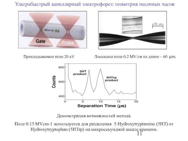 Ультрабыстрый капиллярный электрофорез: геометрия песочных часов Прикладываемое поле 20 кV Локальное поле