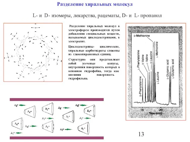 Разделение хиральных молекул Разделение хиральных молекул в электрофорезе производится путем добавления специальных