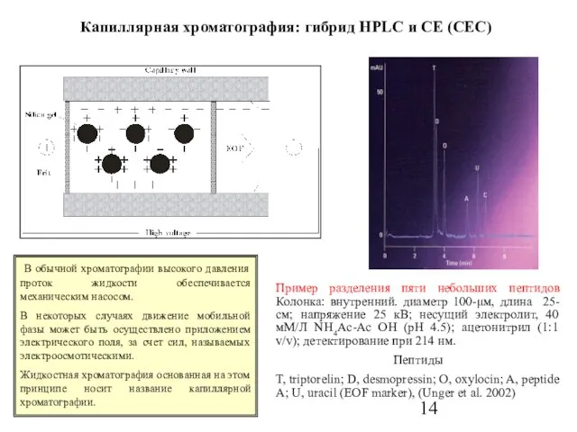 Капиллярная хроматография: гибрид HPLC и CE (CEC) В обычной хроматографии высокого давления