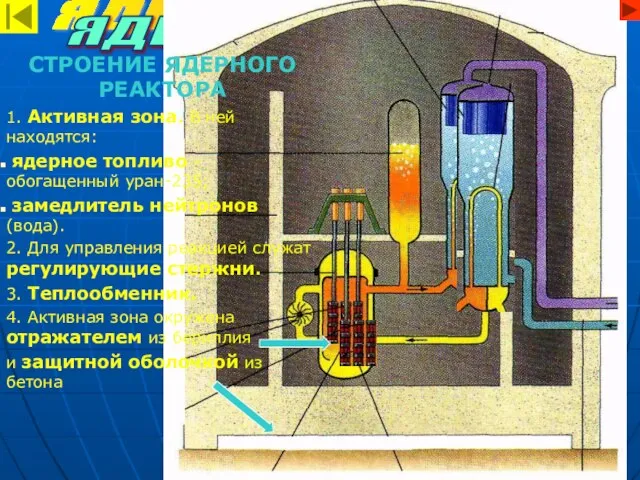 ЯДЕРНАЯ ЭНЕРГИЯ ЯДЕРНЫЙ РЕАКТОР СТРОЕНИЕ ЯДЕРНОГО РЕАКТОРА 1. Активная зона. В ней