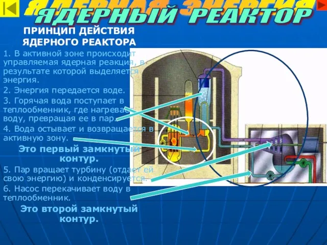 ПРИНЦИП ДЕЙСТВИЯ ЯДЕРНОГО РЕАКТОРА 1. В активной зоне происходит управляемая ядерная реакция,