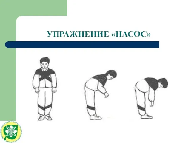 УПРАЖНЕНИЕ «НАСОС»