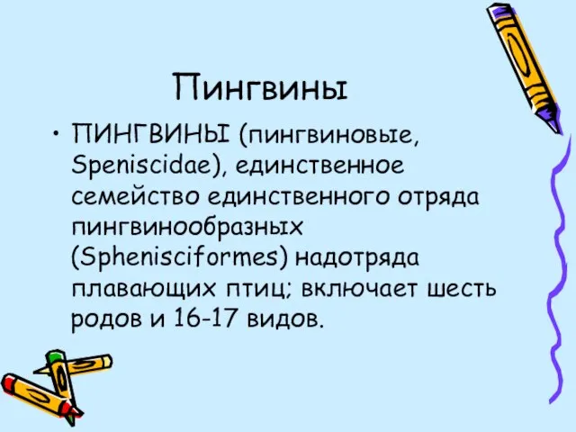 Пингвины ПИНГВИНЫ (пингвиновые, Speniscidae), единственное семейство единственного отряда пингвинообразных (Sphenisciformes) надотряда плавающих