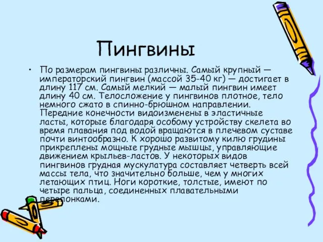 Пингвины По размерам пингвины различны. Самый крупный — императорский пингвин (массой 35-40