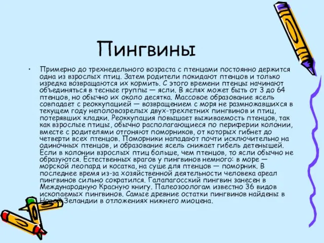 Пингвины Примерно до трехнедельного возраста с птенцами постоянно держится одна из взрослых