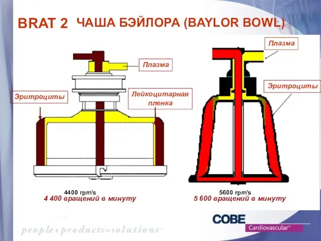 4400 rpm’s 5600 rpm’s Эритроциты Плазма Лейкоцитарная пленка 4 400 вращений в