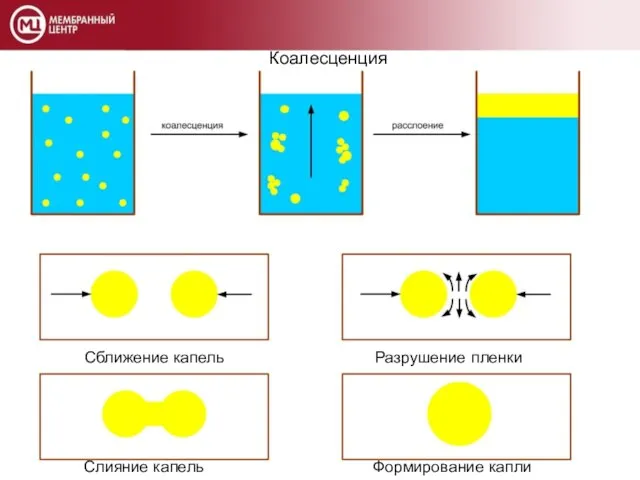 Коалесценция Слияние капель Формирование капли Сближение капель Разрушение пленки