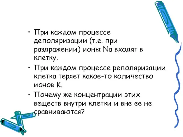 При каждом процессе деполяризации (т.е. при раздражении) ионы Na входят в клетку.