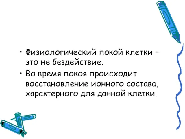 Физиологический покой клетки – это не бездействие. Во время покоя происходит восстановление