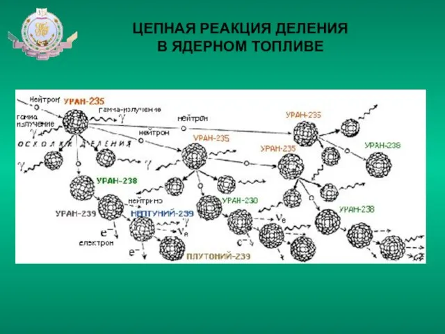 ЦЕПНАЯ РЕАКЦИЯ ДЕЛЕНИЯ В ЯДЕРНОМ ТОПЛИВЕ