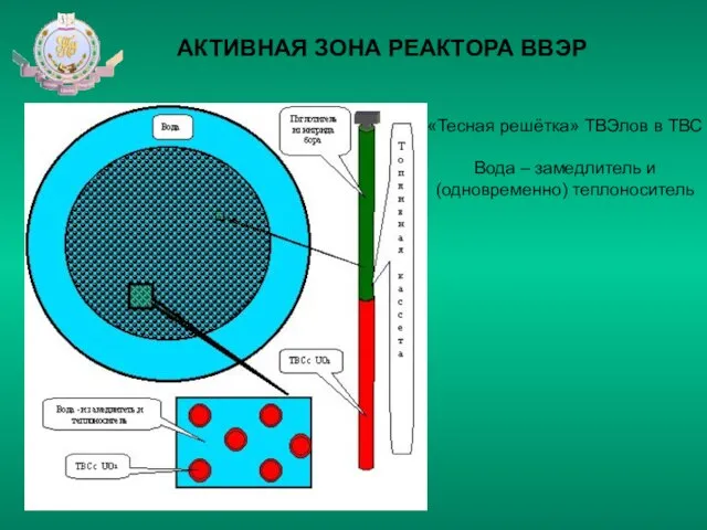 АКТИВНАЯ ЗОНА РЕАКТОРА ВВЭР «Тесная решётка» ТВЭлов в ТВС Вода – замедлитель и (одновременно) теплоноситель