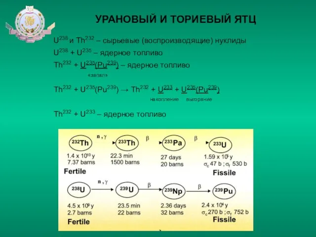 УРАНОВЫЙ И ТОРИЕВЫЙ ЯТЦ U238 и Th232 – сырьевые (воспроизводящие) нуклиды U238