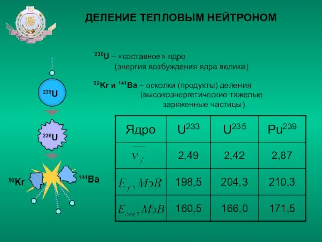 ДЕЛЕНИЕ ТЕПЛОВЫМ НЕЙТРОНОМ 236U – «составное» ядро (энергия возбуждения ядра велика) 92Kr