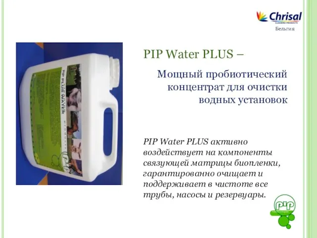 Бельгия PIP Water PLUS – Мощный пробиотический концентрат для очистки водных установок