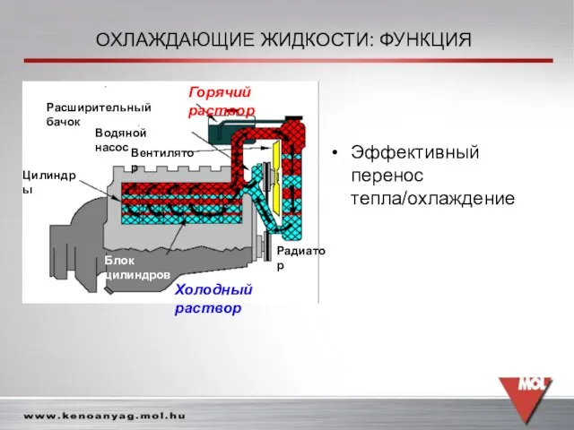 Расширительный бачок Водяной насос Вентилятор Цилиндры Блок цилиндров Радиатор Горячий раствор Холодный