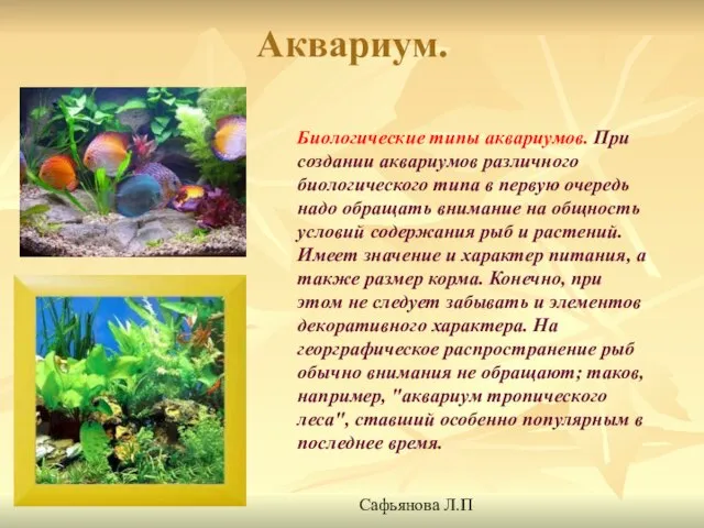 Аквариум. Биологические типы аквариумов. При создании аквариумов различного биологического типа в первую