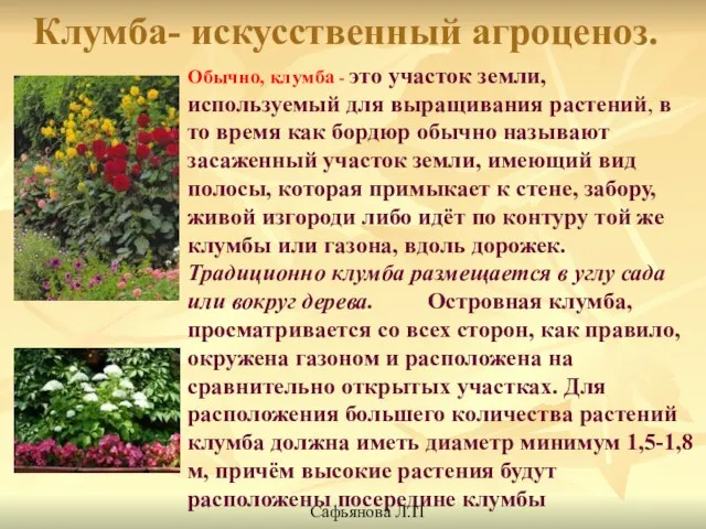 Клумба- искусственный агроценоз. Обычно, клумба - это участок земли, используемый для выращивания