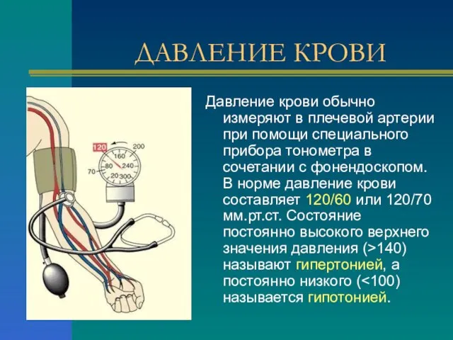 ДАВЛЕНИЕ КРОВИ Давление крови обычно измеряют в плечевой артерии при помощи специального