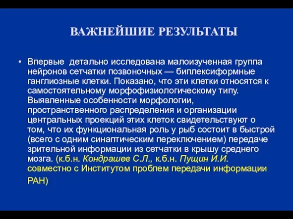 ВАЖНЕЙШИЕ РЕЗУЛЬТАТЫ Впервые детально исследована малоизученная группа нейронов сетчатки позвоночных — биплексиформные