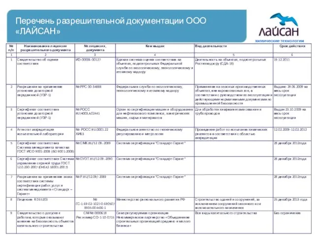 Перечень разрешительной документации ООО «ЛАЙСАН»