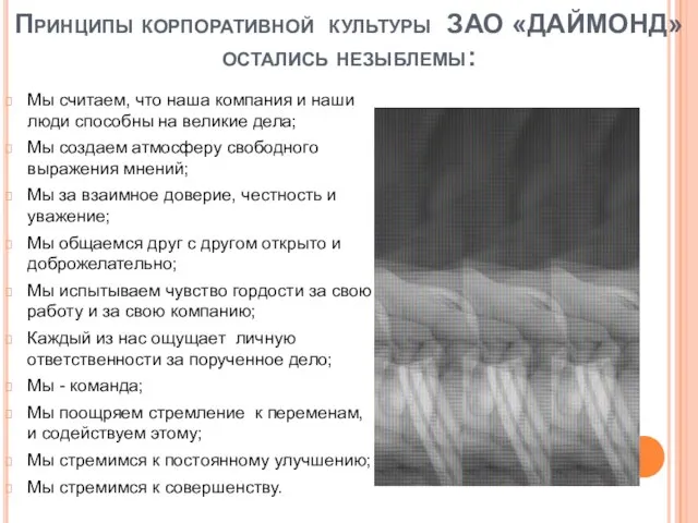 Принципы корпоративной культуры ЗАО «ДАЙМОНД» остались незыблемы: Мы считаем, что наша компания