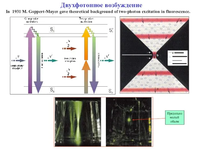 Двухфотонное возбуждение In 1931 M. Goppert-Mayer gave theoretical background of two-photon excitation