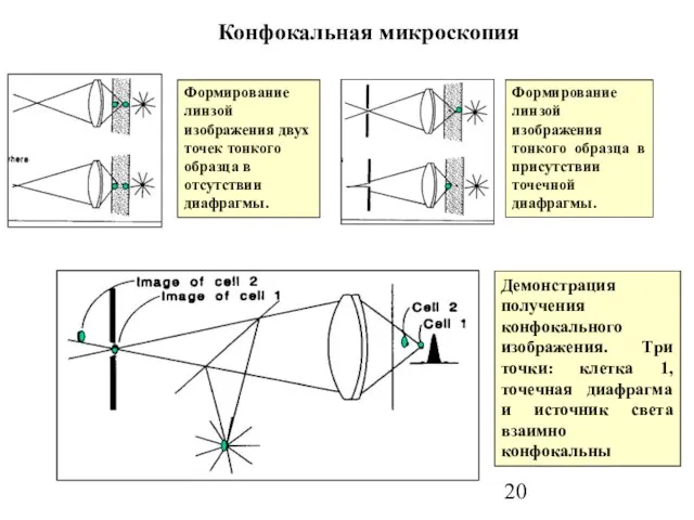 Конфокальная микроскопия Формирование линзой изображения двух точек тонкого образца в отсутствии диафрагмы.