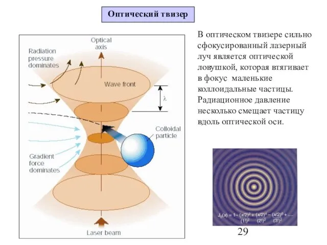 В оптическом твизере сильно сфокусированный лазерный луч является оптической ловушкой, которая втягивает