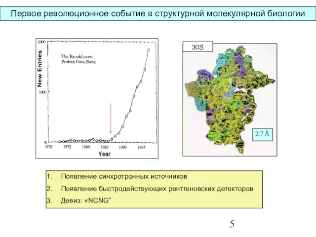 Первое революционное событие в структурной молекулярной биологии Появление синхротронных источников Появление быстродействующих