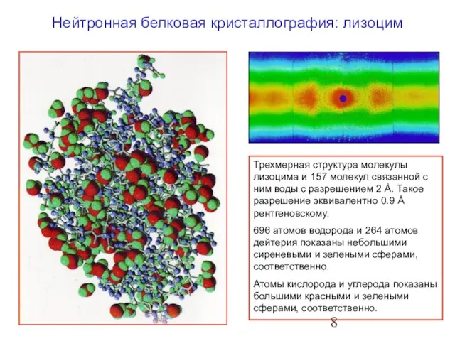 Трехмерная структура молекулы лизоцима и 157 молекул связанной с ним воды с