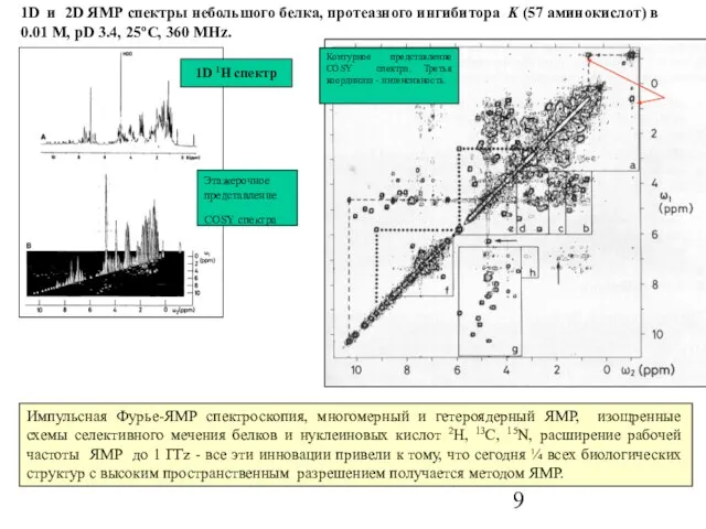 Импульсная Фурье-ЯМР спектроскопия, многомерный и гетероядерный ЯМР, изощренные схемы селективного мечения белков