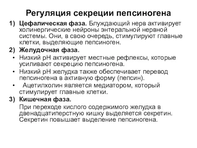 Регуляция секреции пепсиногена Цефалическая фаза. Блуждающий нерв активирует холинергические нейроны энтеральной нервной