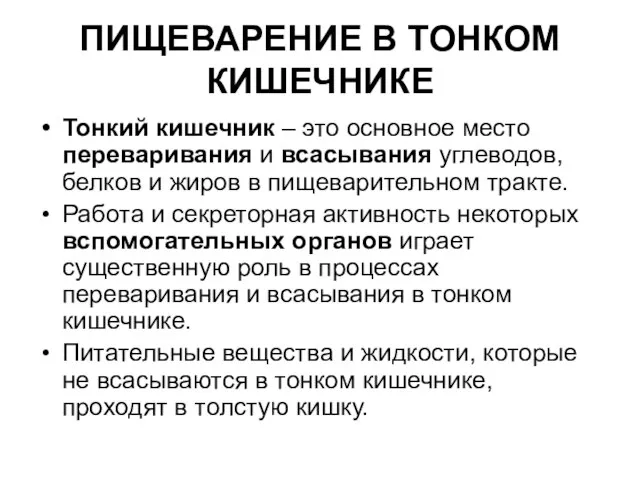 ПИЩЕВАРЕНИЕ В ТОНКОМ КИШЕЧНИКЕ Тонкий кишечник – это основное место переваривания и