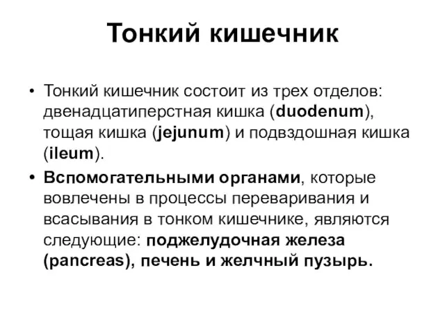 Тонкий кишечник Тонкий кишечник состоит из трех отделов: двенадцатиперстная кишка (duodenum), тощая