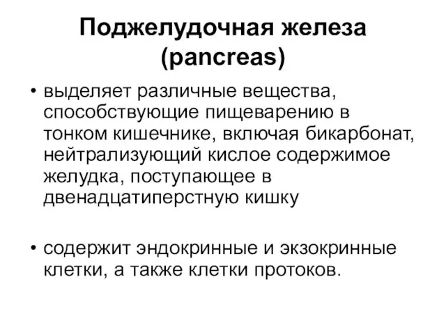 Поджелудочная железа (pancreas) выделяет различные вещества, способствующие пищеварению в тонком кишечнике, включая