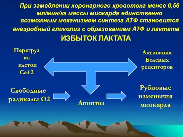 При замедлении коронарного кровотока менее 0,56 мл/мин/кг массы миокарда единственно возможным механизмом