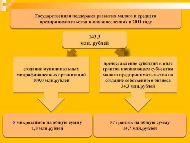 143,3 млн. рублей 5 микрозаймов на общую сумму 1,8 млн.рублей 57 грантов