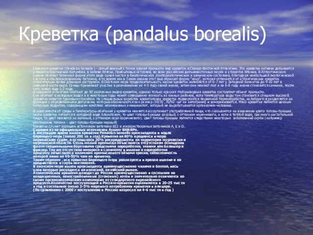 Креветка (pandalus borealis) Северная креветка (Pandalus borealis ) - самый важный с