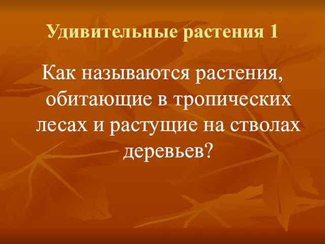 Удивительные растения 1 Как называются растения, обитающие в тропических лесах и растущие на стволах деревьев?