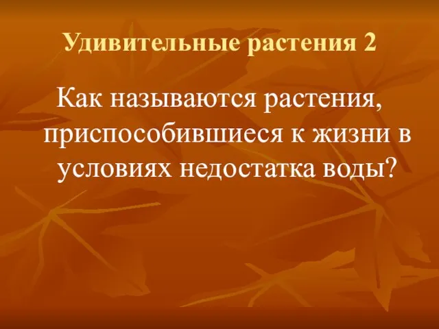 Удивительные растения 2 Как называются растения, приспособившиеся к жизни в условиях недостатка воды?