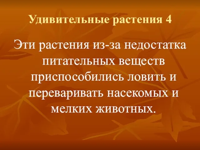 Удивительные растения 4 Эти растения из-за недостатка питательных веществ приспособились ловить и