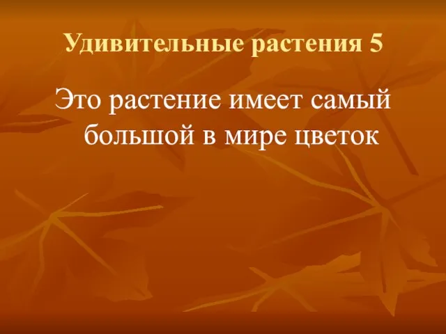 Удивительные растения 5 Это растение имеет самый большой в мире цветок