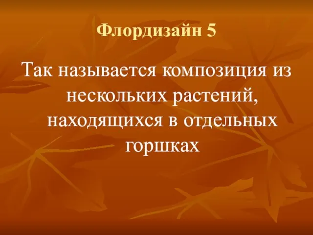 Флордизайн 5 Так называется композиция из нескольких растений, находящихся в отдельных горшках