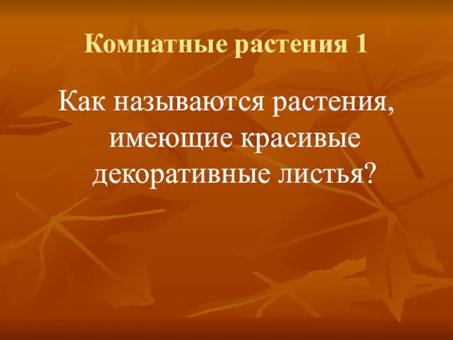 Комнатные растения 1 Как называются растения, имеющие красивые декоративные листья?