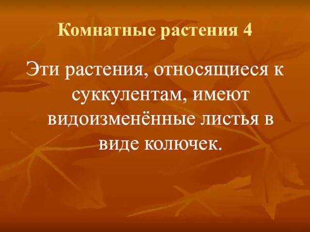 Комнатные растения 4 Эти растения, относящиеся к суккулентам, имеют видоизменённые листья в виде колючек.