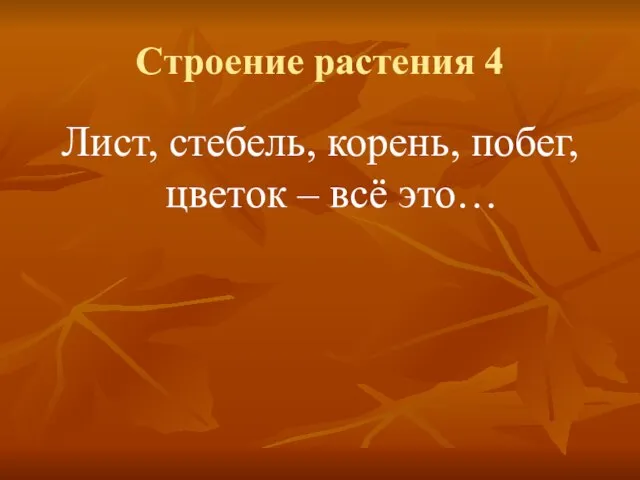 Строение растения 4 Лист, стебель, корень, побег, цветок – всё это…