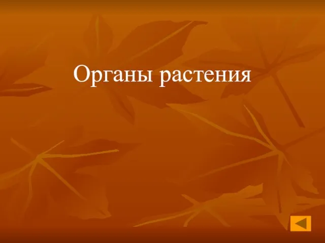 Органы растения